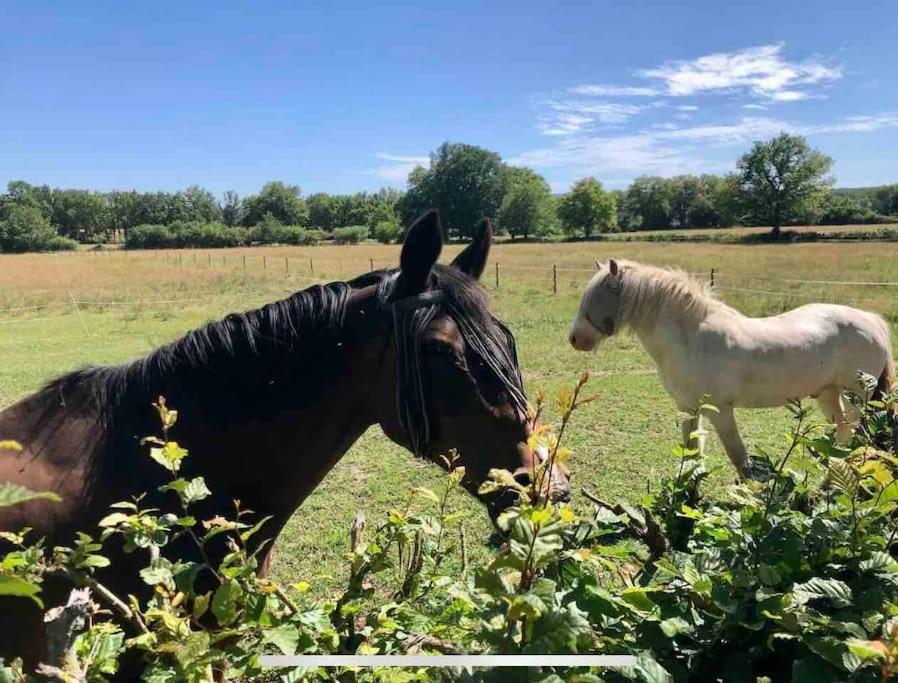 Gite "Ibiza" Chamblet Esterno foto